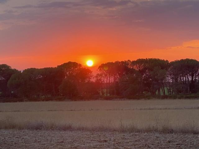 Can Massanet Llagostera Exteriör bild